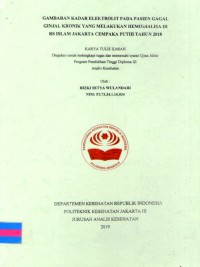 Karya Tulis Ilmiah Th.2019 : Gambaran Kadar Elektrolit Pada Penderita Gagal Ginjal Kronik Yang melakukan Hemodialisa Di RS Islam Jakarta Cempaka Putih Tahun 2018 (Teks Dan E_Book)