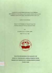 Karya Tulis Ilmiah Th.2020 : Gambaran Kadar Merkuri Rambut Pada Pekerja Pertambangan Emas Skala Kecil Di Desa Cisitu, Kecamatan Cibeber, Kabupaten Lebak, Provinsi Banten Tahun 2017 (Teks Dan E_Book)