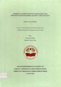 Karya Tulis Ilmiah Th.2020 : Gambaran Kadar Ureum Dan Kreatinin Pada Pengguna Ekstasi Di RSKO Jakarta Tahun 2017-2019 (Teks Dan E_Book)