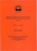 GAMBARAN TINGKAT PENGETAHUAN IBU TENTANG
TUMBUH KEMBANG ANAK USIA DINI DI MASA GOLDEN
AGES PERIOD DI PAUD MAWAR CERIA RW 01
KRAMATJATI JAKARTA TIMUR
TAHUN 2019
