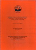 GAMBARAN POLA ASUH, PENDIDIKAN SEKS DAN
KOMUNIKASI ORANG TUA TERHADAP PERILAKU SEKS
DI MADRASAH ALIYAH NEGERI 5 JAKARTA
TAHUN 2019