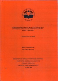 GAMBARAN PENGETAHUAN IBU TENTANG PIJAT BAYI DI PUSKESMAS KECAMATAN KEMBANGAN JAKARTA BARAT TAHUN 2019