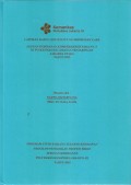LKD4 th.2025 : LAPORAN KASUS CONTINUITY OF MIDWIFERY CARE ASUHAN KEBIDANAN KOMPREHENSIF PADA NY.N DI PUSKESMAS KECAMATAN PENJARINGAN JAKARTA UTARA TAHUN 2025