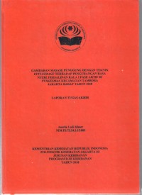 TABD th.2018 : GAMBARAN MASASE PUNGGUNG DENGAN TEKNIK EFFLUERAGE TERHADAP PENGURANGAN RASA
NYERI PERSALINAN KALA I FASE AKTIF DI
PUSKESMAS KECAMATAN TAMBORA
JAKARTA BARAT TAHUN 2018 (LTA-Bidan+E Book)