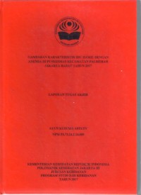 GAMBARAN KARAKTERISTIK IBU HAMIL DENGAN
ANEMIA DI PUSKESMAS KECAMATAN PALMERAH
JAKARTA BARAT TAHUN 2017 ( LTA-Bidan+E Book )