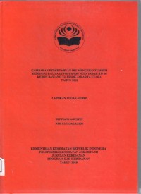 GAMBARAN PENGETAHUAN IBU MENGENAI TUMBUH KEMBANG BALITA DI POSYANDU NUSA INDAH RW 06 KEBON BAWANG TJ. PRIOK JAKARTA UTARA
TAHUN 2018 (LTA-Bidan+E Book)