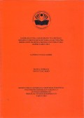 GAMBARAN POLA ASUH ORANG TUA DENGAN
KEJADIAN SIBLING RIVALRY PADA ANAK USIA PRA
SEKOLAH DI TK BUNGA BANGSA PANCORAN MAS
DEPOK TAHUN 2019