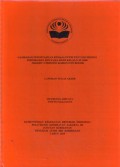 GAMBARAN PENGETAHUAN REMAJA PUTRI TENTANG RESIKO
PERNIKAHAN DINI PADA SISWI KELAS X DI SMK
NEGERI 1 CIBINONG KABUPATEN BOGOR