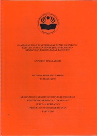GAMBARAN PIJAT BAYI TERHADAP TUMBUH KEMBANG BAYI USIA 3-6 BULAN DI PUSKESMAS KECAMATAN KEMBANGAN JAKARTA BARAT TAHUN 2019