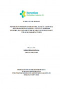 Karya  Tulis Ilmiah Keperawatan 2024: Penerapan Prosedur Terapi Melakukan Aktivitas Sehari-hari pada Pasien Gangguan Persepsi Sensori: Halusinasi Pendengaran di Rumah Sakit Wilayah Jakarta Timur