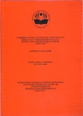GAMBARAN TINGKAT PENGETAHUAN IBU TENTANG
KESESUAIAN TUMBUH KEMBANG BALITA
DI POSYANDU NURI RW 09 BEKASI TIMUR
TAHUN 2019 ( (LTA-Bidan+E Book)