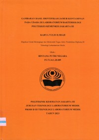 Karya Tulis Ilmiah Th.2023 : Gambaran Hasil Identifikasi Jamur Kontaminan Pada Udara Di Laboratorium Bakteriologi Poltekkes Kemenkes Jakarta III (Teks Dan E_Book)